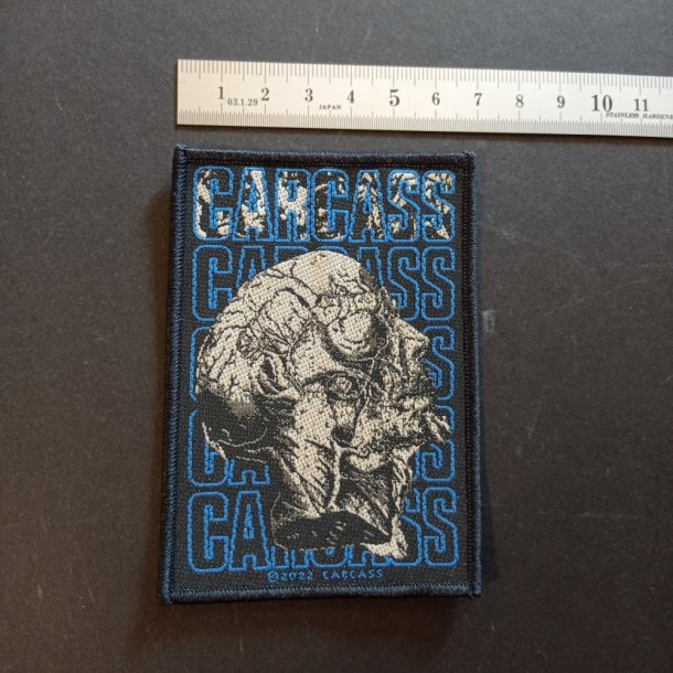 Carcass patch