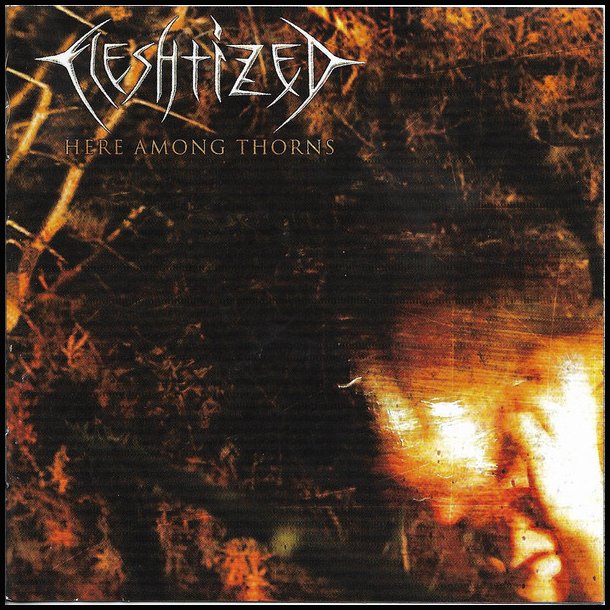 Fleshtized &lrm; Here Among Thorns CD