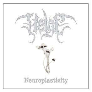 Helge  Neuroplasticity CD