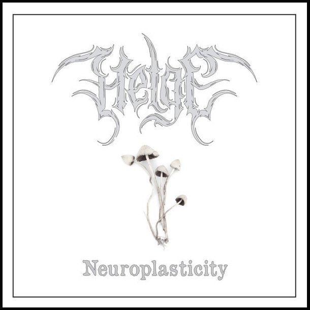 Helge  Neuroplasticity 12"