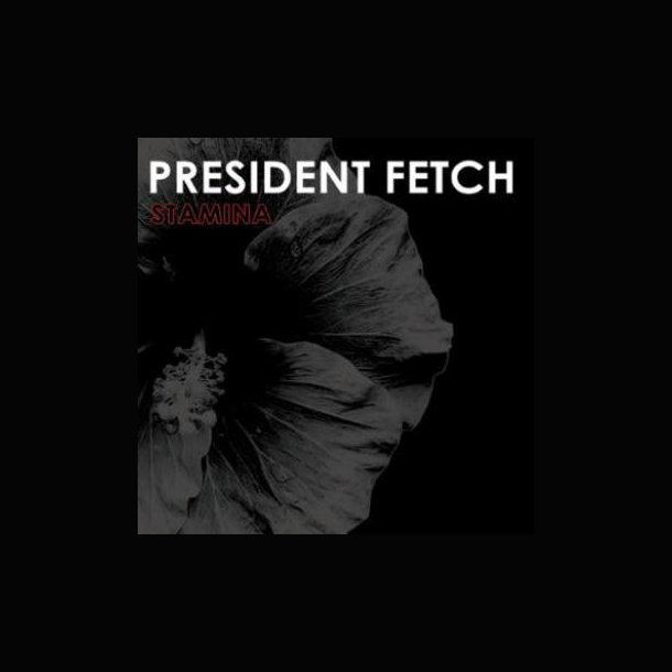 President Fetch - Stamina 12"