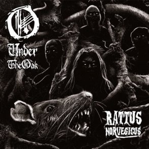 Under The Oak  Rattus Norvegicus CD