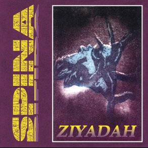  Spina Bifida - Ziyadah 12