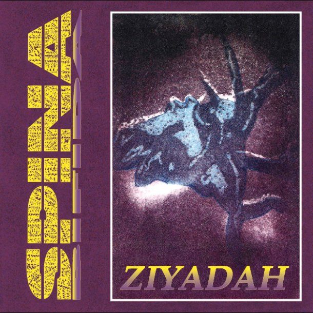  Spina Bifida - Ziyadah 12" Forudbestilling