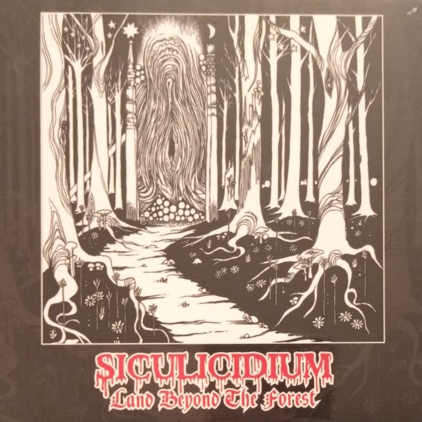 Siculicidium  Land Beyond The Forest CD