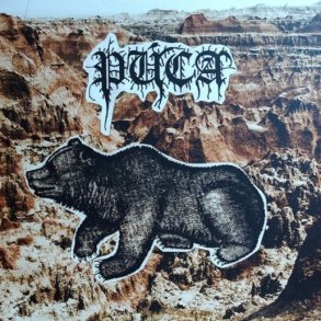 P�ca - Demo / Of Rot And Rainfall 12