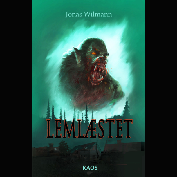 Jonas Wilmann - Leml�stet