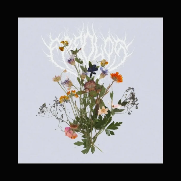 Fredl�s - Fredl�s 12" Forudbestilling
