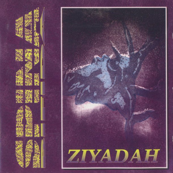 Spina Bifida - Ziyadah 12"