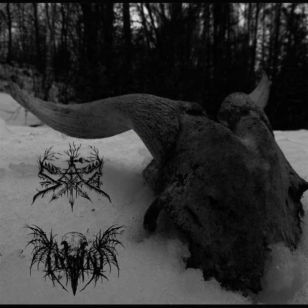 SAD / IVVIIV - split 10"