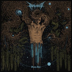 Bo�tes Void - Panta Rhei 12