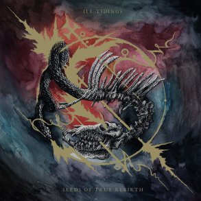 Ill Tidings - Seeds Of True Rebirth 12