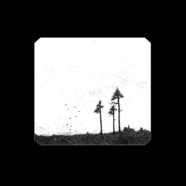Wagner �deg�rd - ��e 12"