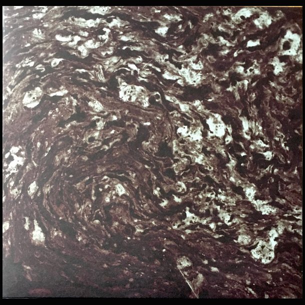 M�spellzheimr / Aiwīgaz Un�ergangaz 10"