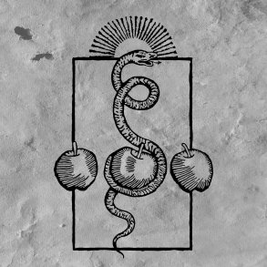 Darvaza - We Are Him 12