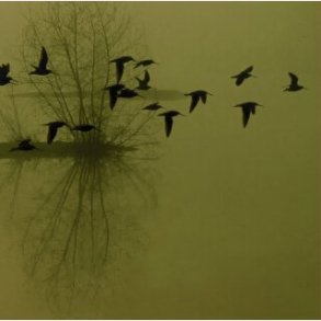 Dusk - ...Majestic Thou in Ruin 12