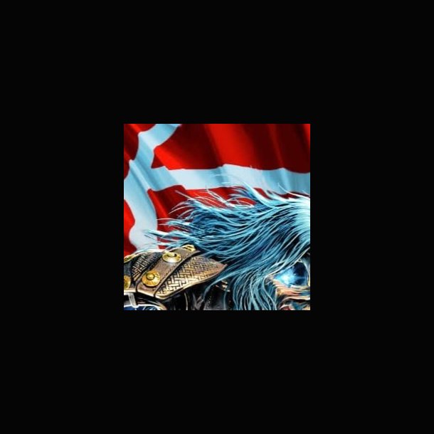 Maiden Denmark Fanklub t-shirt forudbestilling