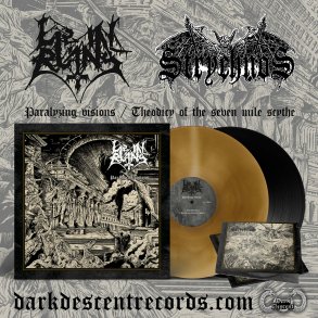 Strychnos / Lie in Ruins - Split 12